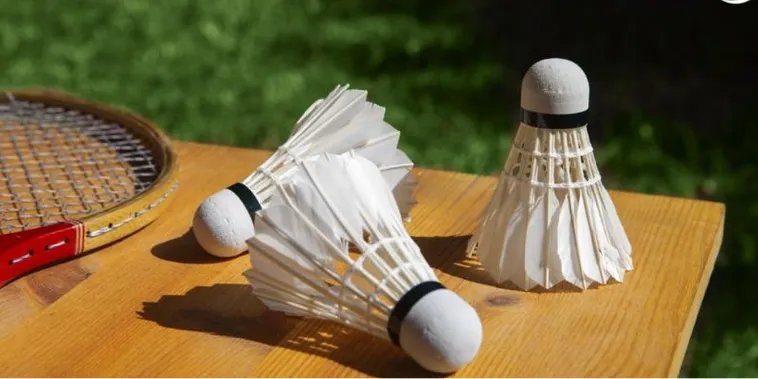 Bí Kíp Cá Cược Cầu Lông GO88 Thắng Lớn Trong Tầm Tay Của Bạn 2 Bí Kíp Cá Cược Cầu Lông GO88 Thắng Lớn Trong Tầm Tay Của Bạn