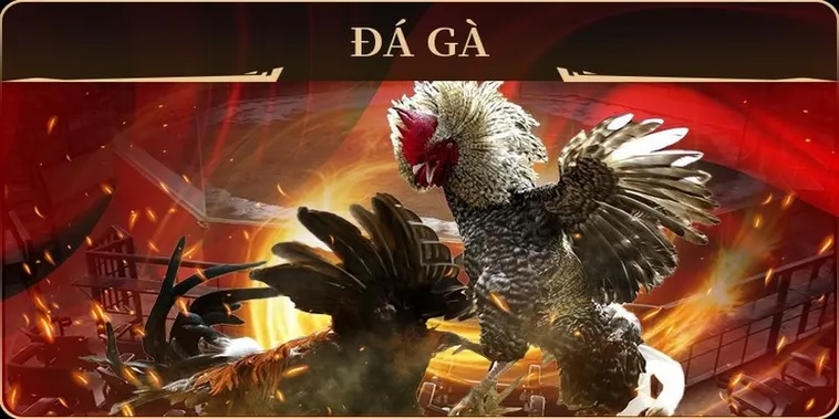 Hướng Dẫn Cách Chơi Đá Gà GA28 Tại GO88 Từ Chuyên Gia 2 Hướng Dẫn Cách Chơi Đá Gà GA28 Tại GO88 Từ Chuyên Gia