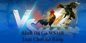 Trở Thành Cao Thủ Đá Gà WS168 GO88 Với Hướng Dẫn Này